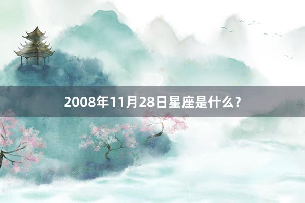 2008年11月28日星座是什么？