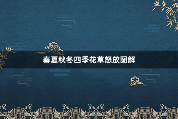 春夏秋冬四季花草怒放图解