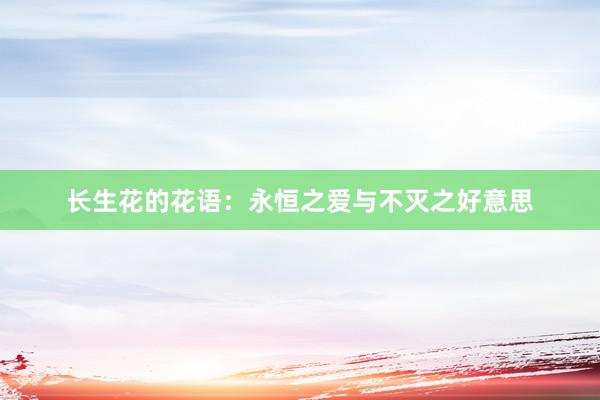 长生花的花语：永恒之爱与不灭之好意思
