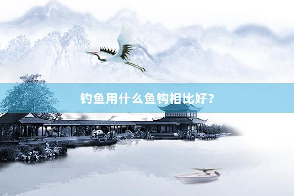 钓鱼用什么鱼钩相比好?